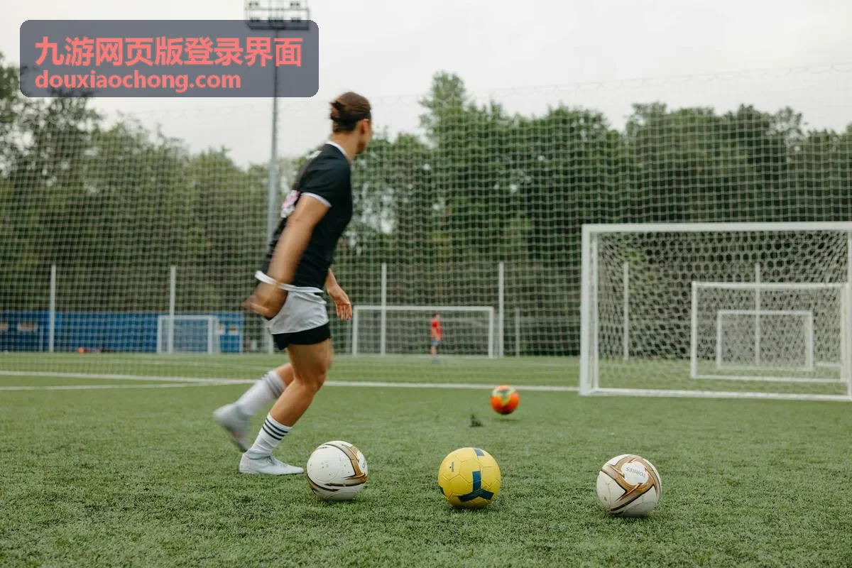 九游网页版登录界面验证提示区域示意