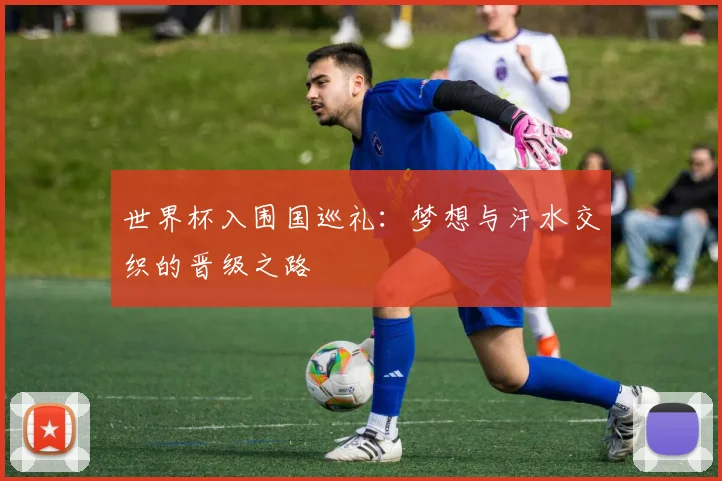 世界杯入围国巡礼：梦想与汗水交织的晋级之路
