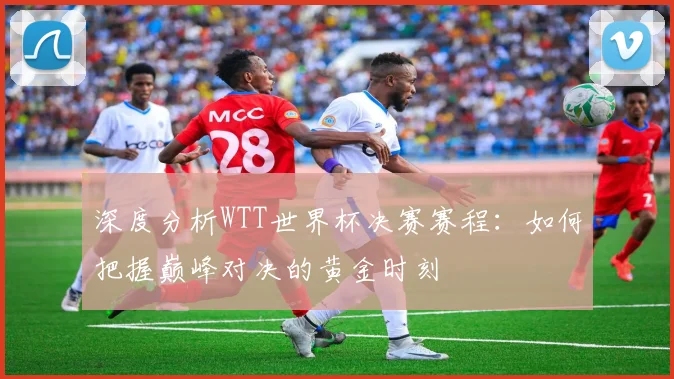 深度分析WTT世界杯决赛赛程：如何把握巅峰对决的黄金时刻
