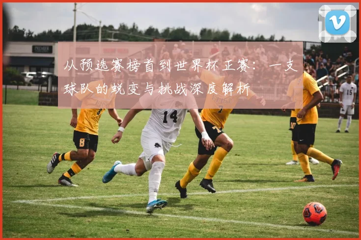 从预选赛榜首到世界杯正赛：一支球队的蜕变与挑战深度解析