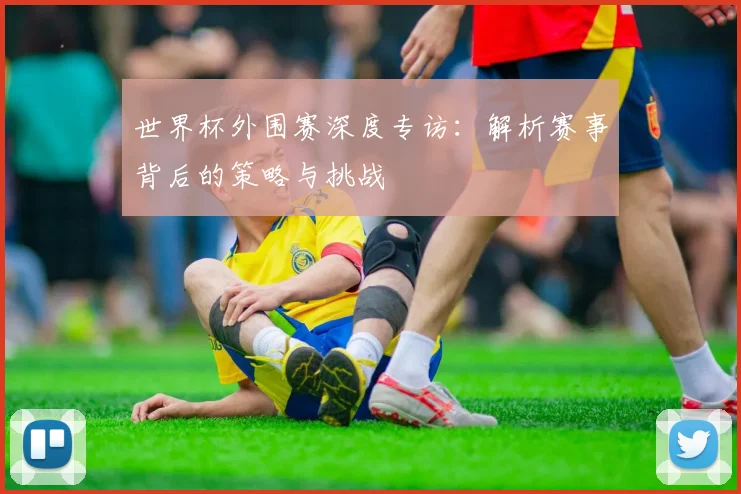 世界杯外围赛深度专访：解析赛事背后的策略与挑战