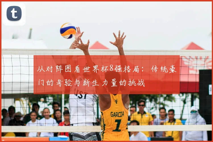 从对阵图看世界杯8强格局：传统豪门的考验与新生力量的挑战