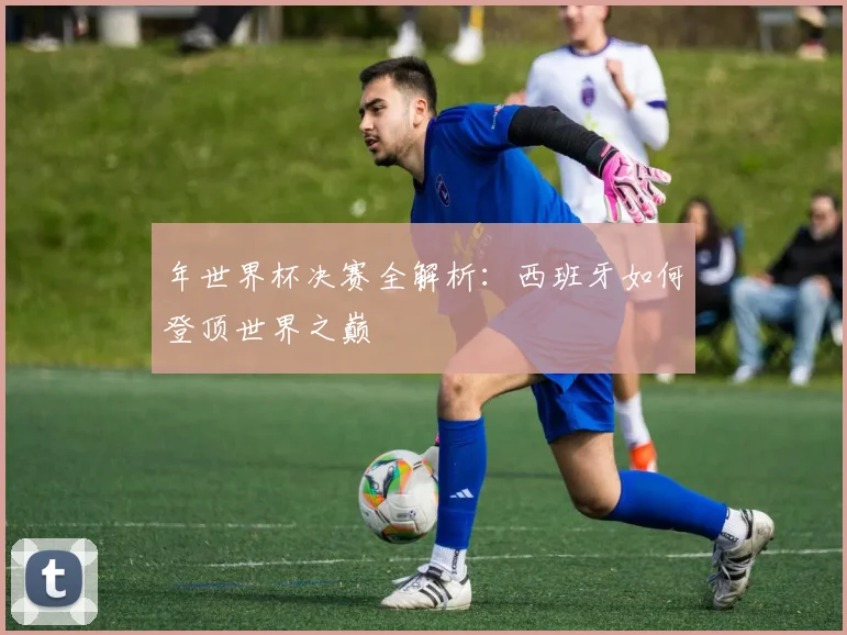 年世界杯决赛全解析：西班牙如何登顶世界之巅