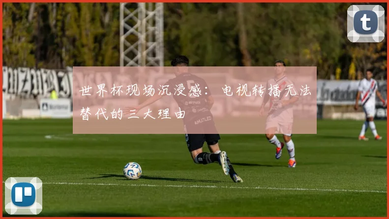 世界杯现场沉浸感:电视转播无法替代的三大理由