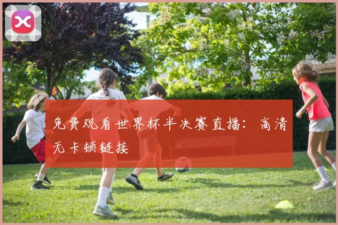 免费观看世界杯半决赛直播:高清无卡顿链接